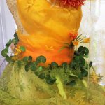 voimg_2906 2